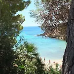 Jasmina Villa *