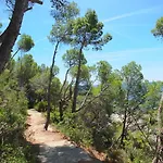 Jasmina Villa *